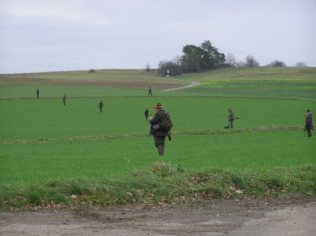 Treibjagd auf die letzten Hasen